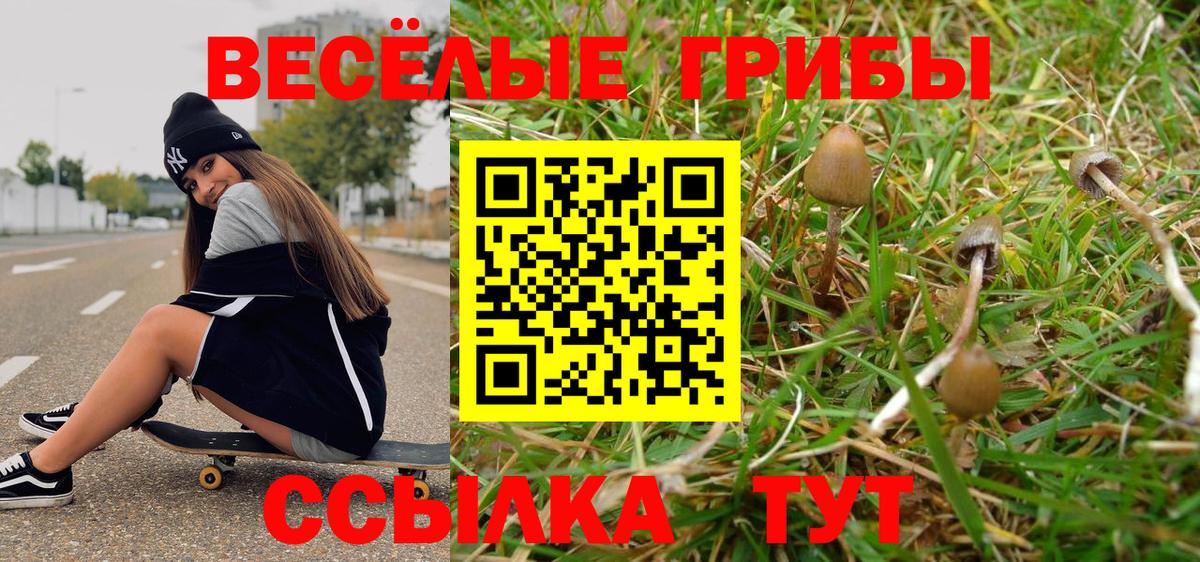 Галлюциногенные грибы Cubensis  Вход с VPN  Чистополь  Галлюциногенные грибы Psilocybine cubensis 